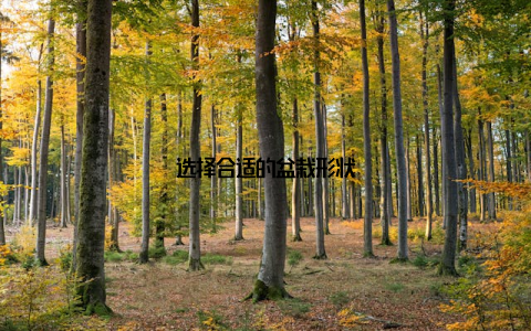 选择合适的盆栽形状