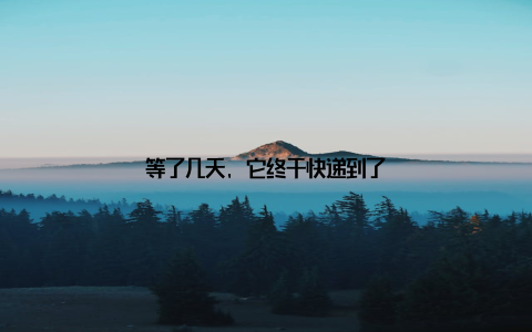 等了几天, 它终于快递到了