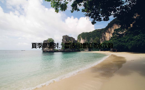 夏季高温时, 要适当增加浇水次数