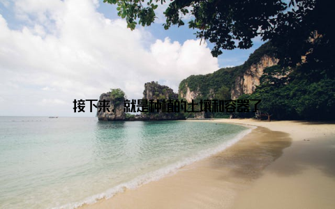 接下来, 就是种植的土壤和容器了