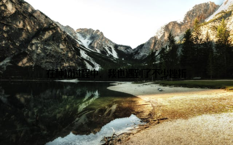 在种植过程中, 我也遇到了不少挫折