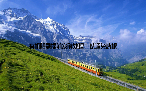 有机肥需提前发酵处理, 以避免烧根