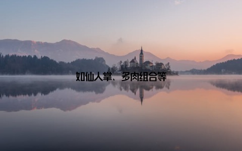 如仙人掌、多肉组合等