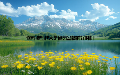 修剪造型秋天是修剪盆栽的好时机