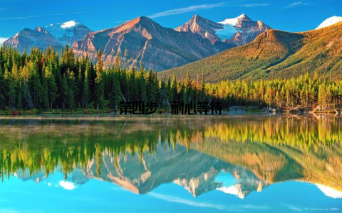 第四步, 耐心等待