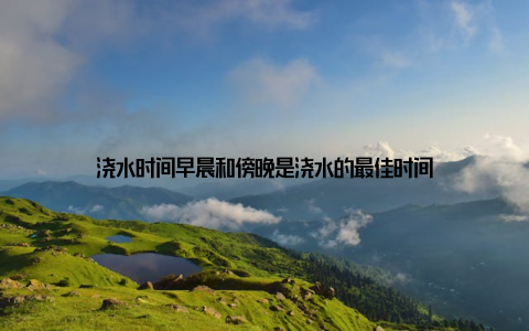 浇水时间早晨和傍晚是浇水的最佳时间