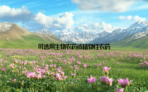 可选用生物农药或植物性农药