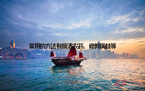 常用的方法有喷洒农药、修剪病枝等