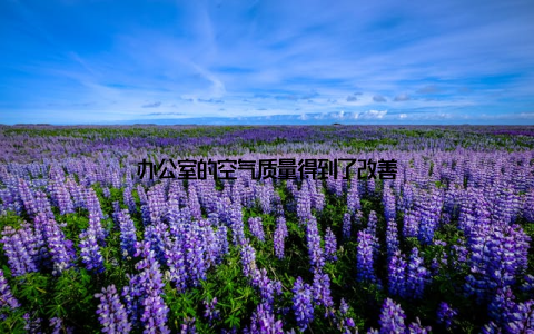 办公室的空气质量得到了改善