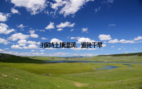 3保持土壤湿润, 避免干旱