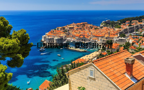 一旦发现病虫害, 要及时进行处理