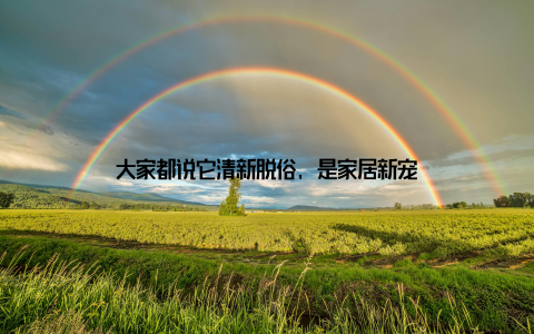 大家都说它清新脱俗, 是家居新宠