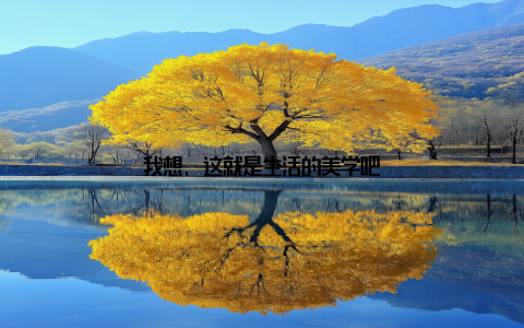 我想, 这就是生活的美学吧