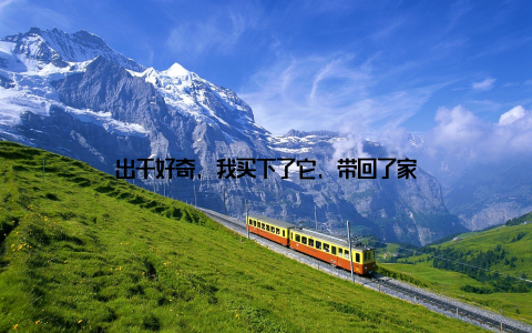 出于好奇, 我买下了它, 带回了家