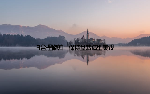 3合理修剪, 保持盆栽造型美观