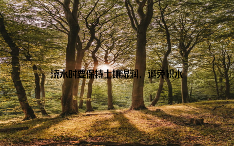 浇水时要保持土壤湿润, 避免积水