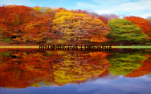 可以使用农药或生物防治方法