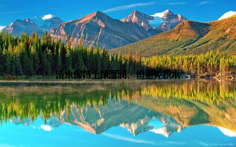 浇水保持土壤湿润, 但避免积水